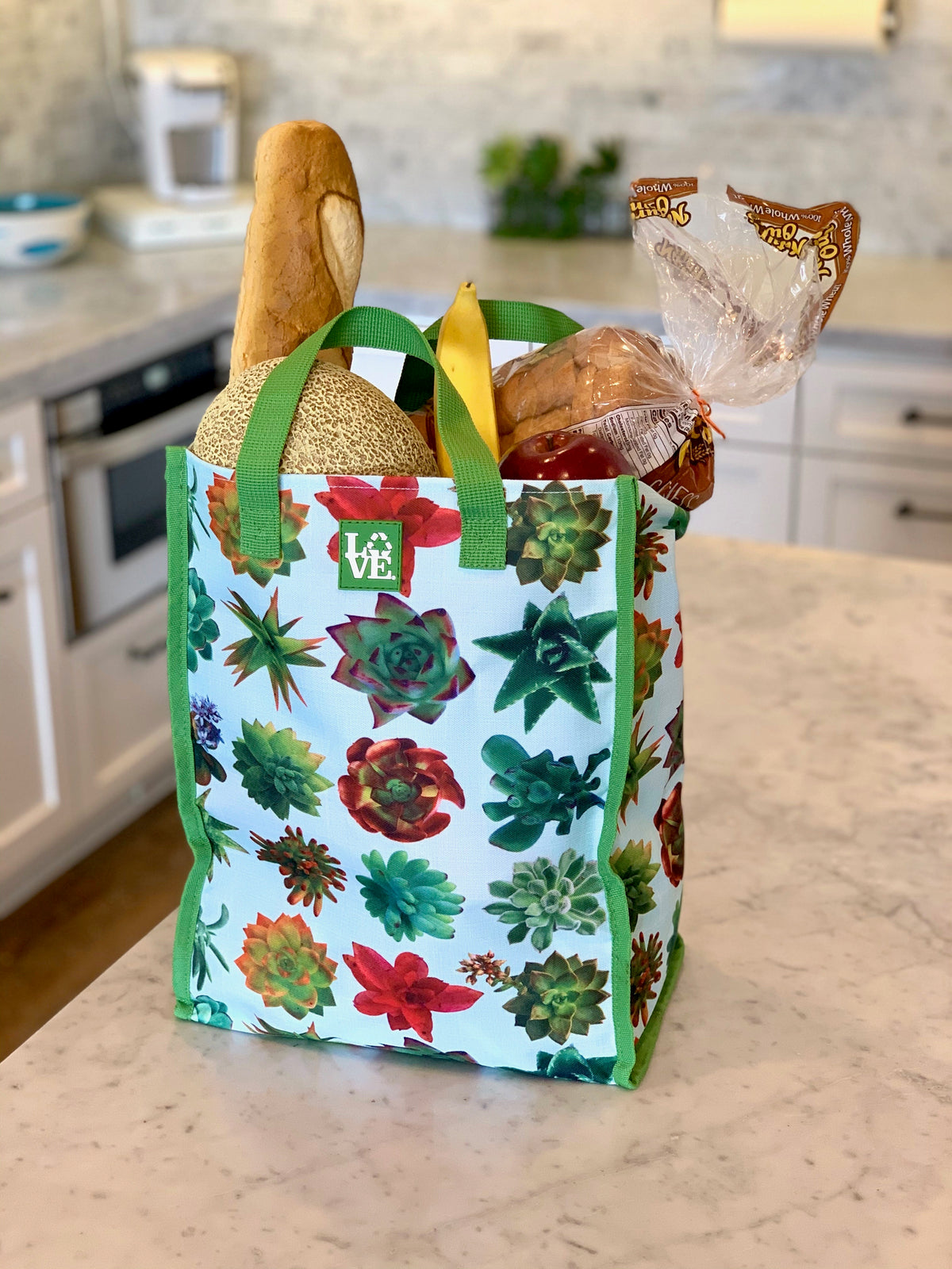 Love Sack Grocery Bag - Succulent Oasis