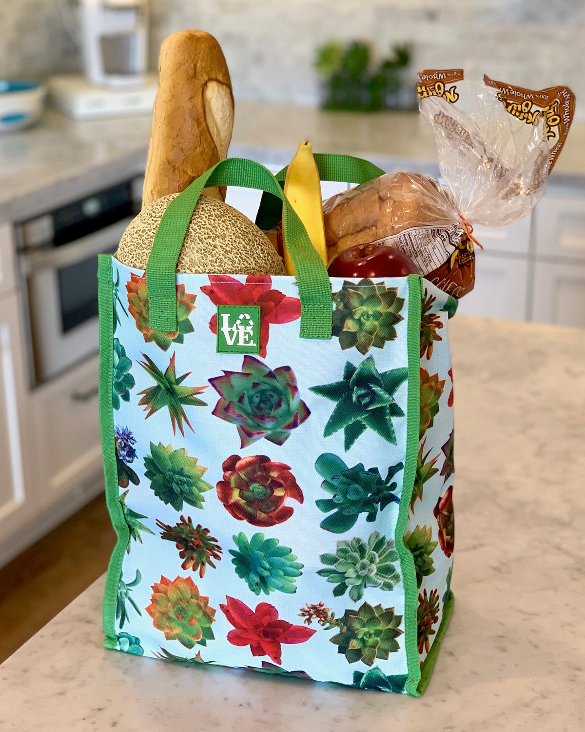 LOVE Sack Grocery Bag — Succulent Oasis