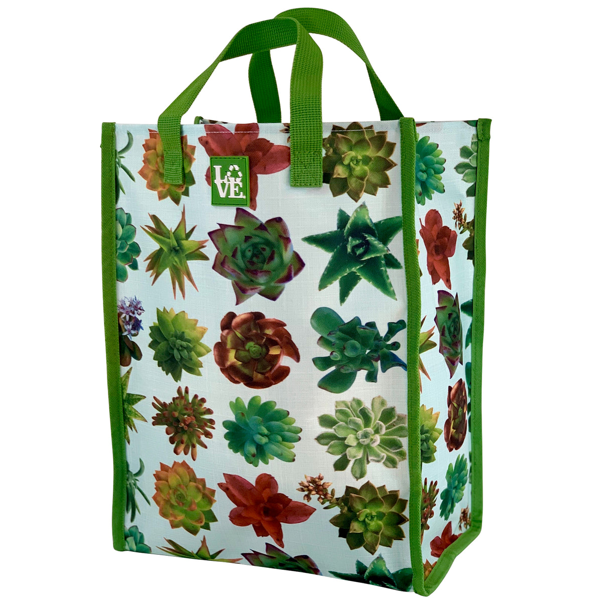 Love Sack Grocery Bag - Succulent Oasis