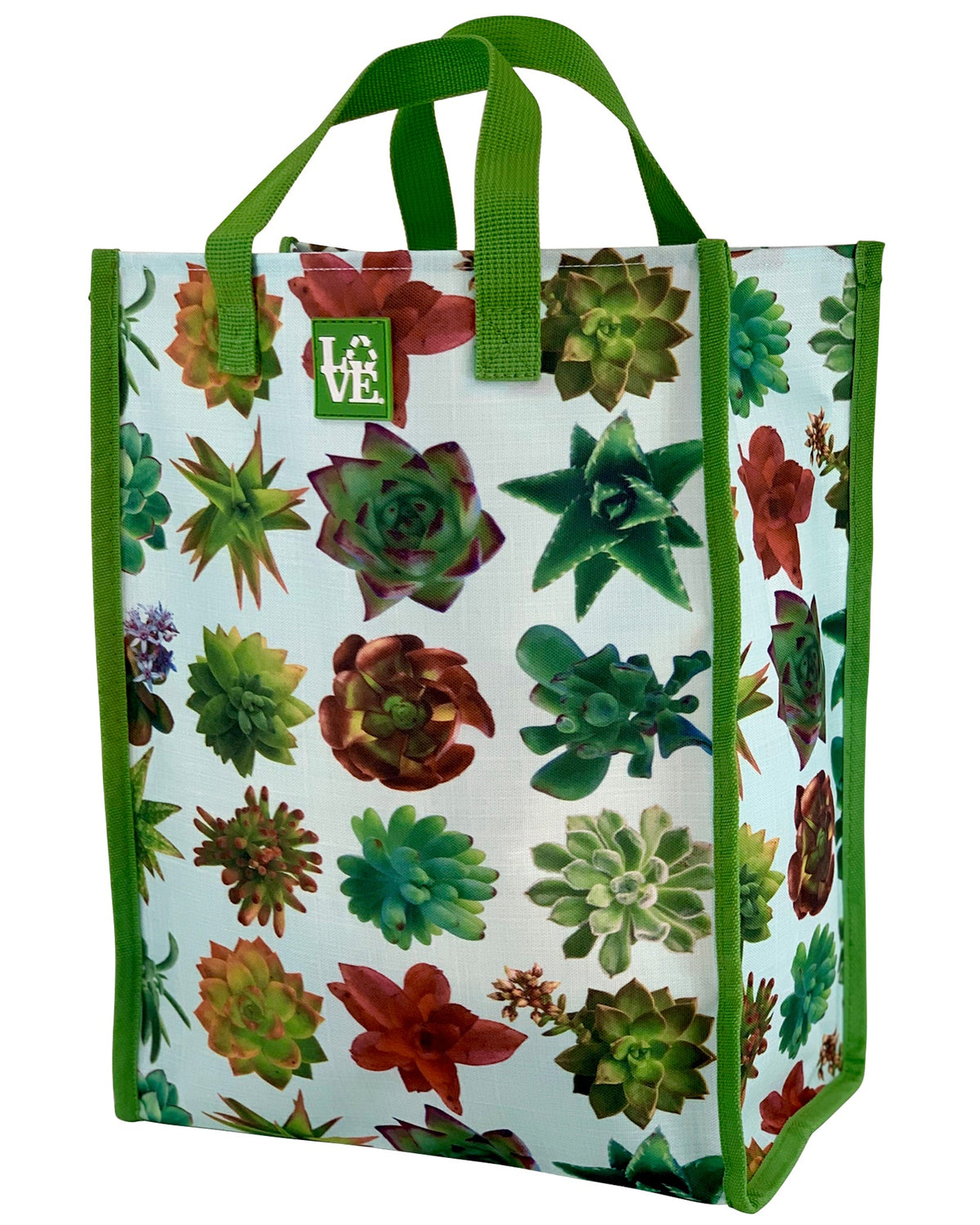LOVE Sack Grocery Bag — Succulent Oasis