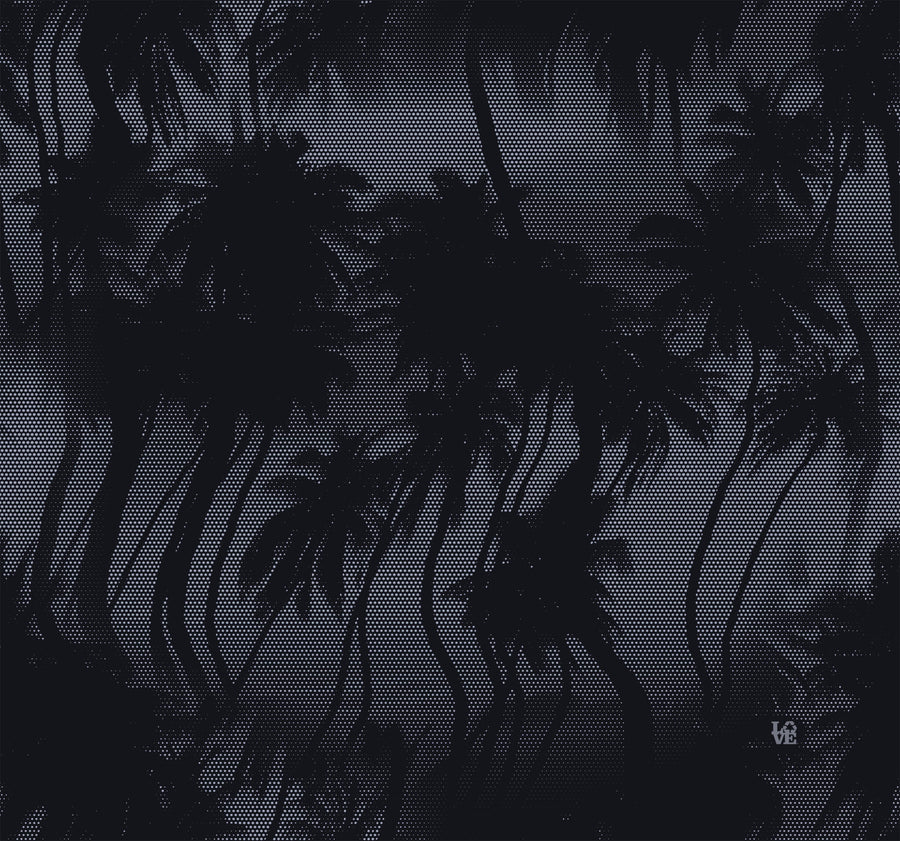 Midnight in Hollywood — lifestyle image