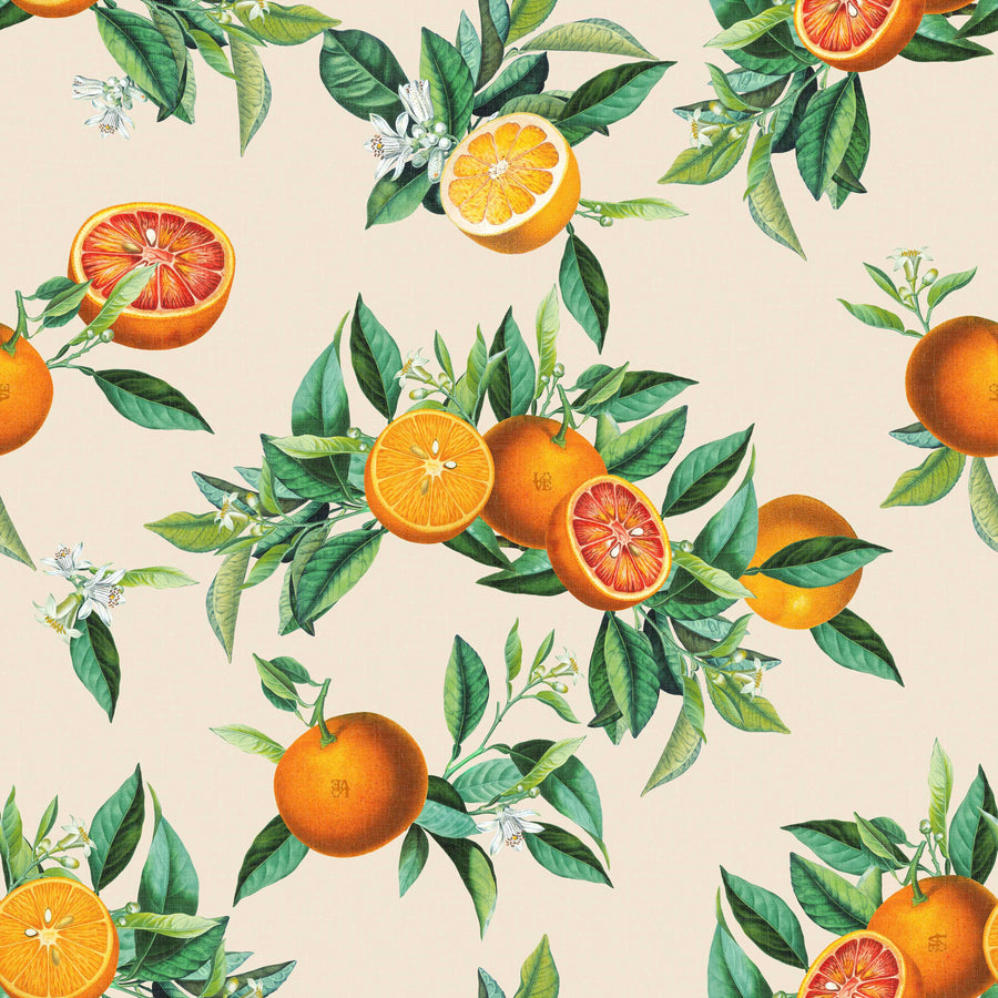 Orange You Glad — lifestyle image