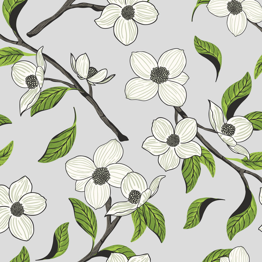 Dogwood — lifestyle image