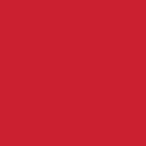 Red My Mind print